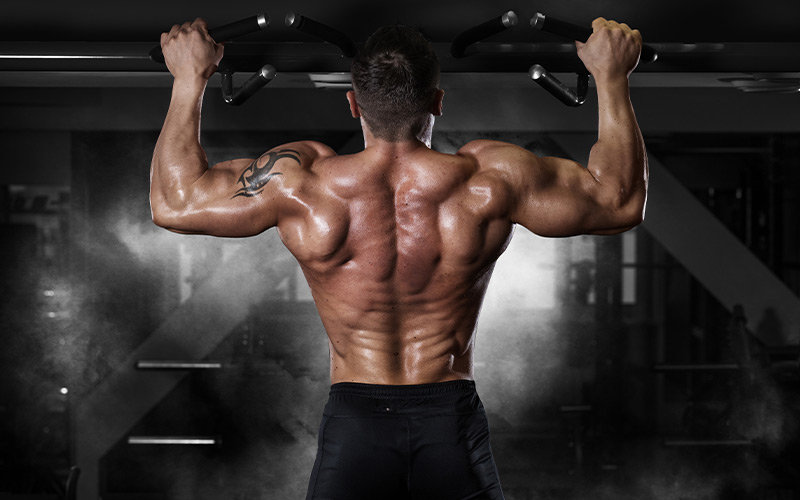 back-shot-of-muscular-man-doing-pull-ups